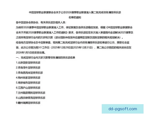 中国足协严查职业俱乐部欠薪问题逾期将取消准入资格
