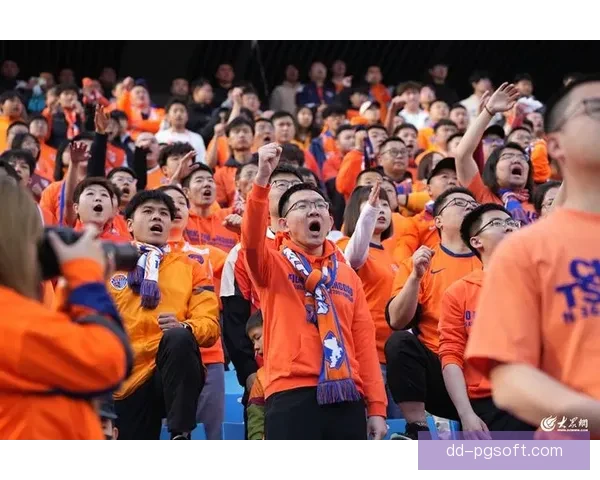 达姆施塔特在德甲赛季最后阶段跌至垫底 无奈遭遇降级命运