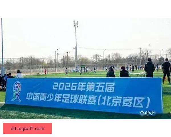 中国足协对43名假球黑哨开出终身禁足史上最重处罚